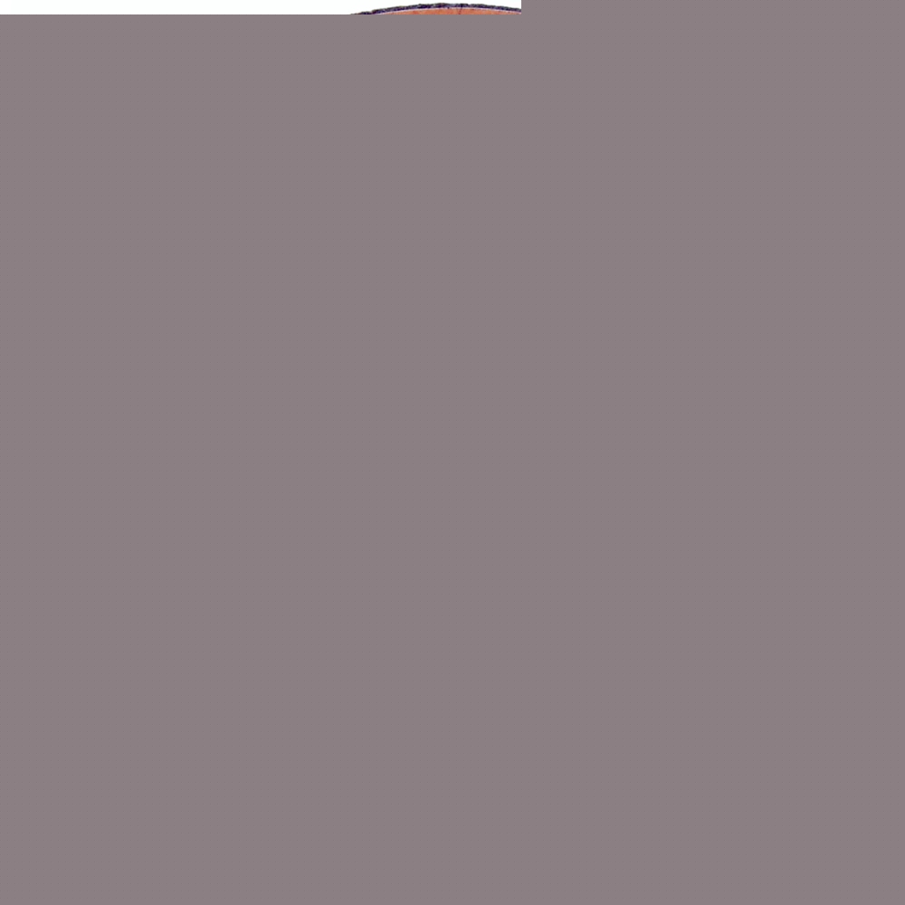 Image unavailable