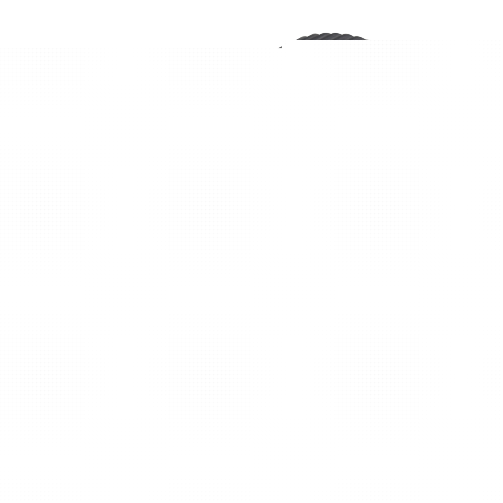 Image unavailable