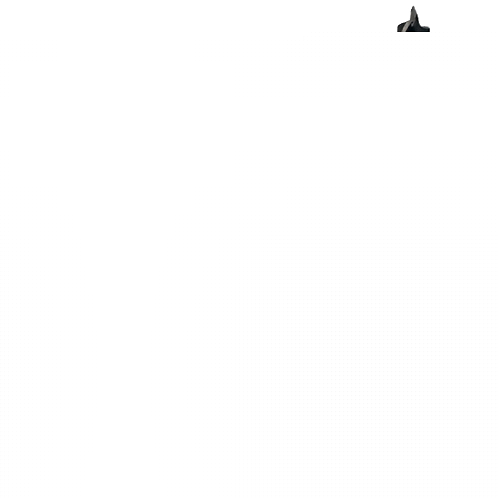 Image unavailable