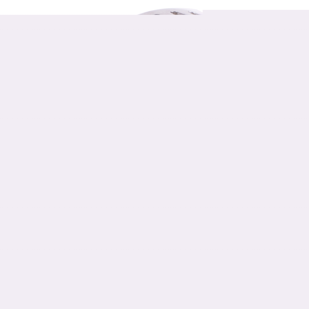 Image unavailable