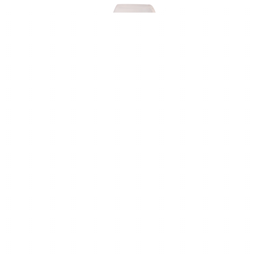 Image unavailable