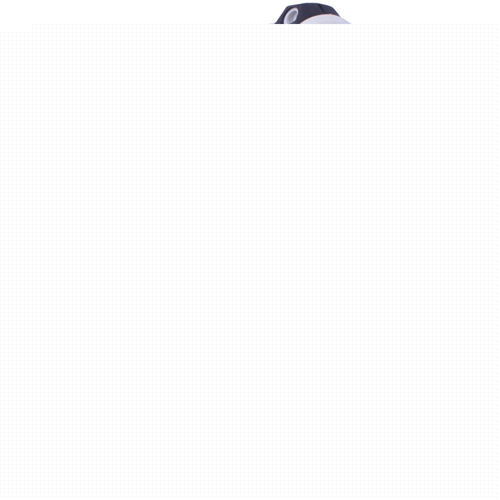 Image unavailable