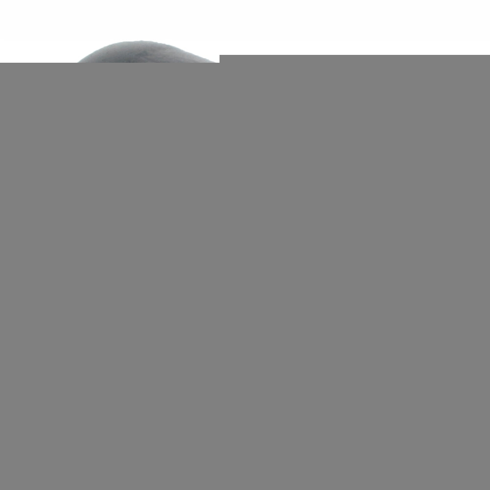Image unavailable