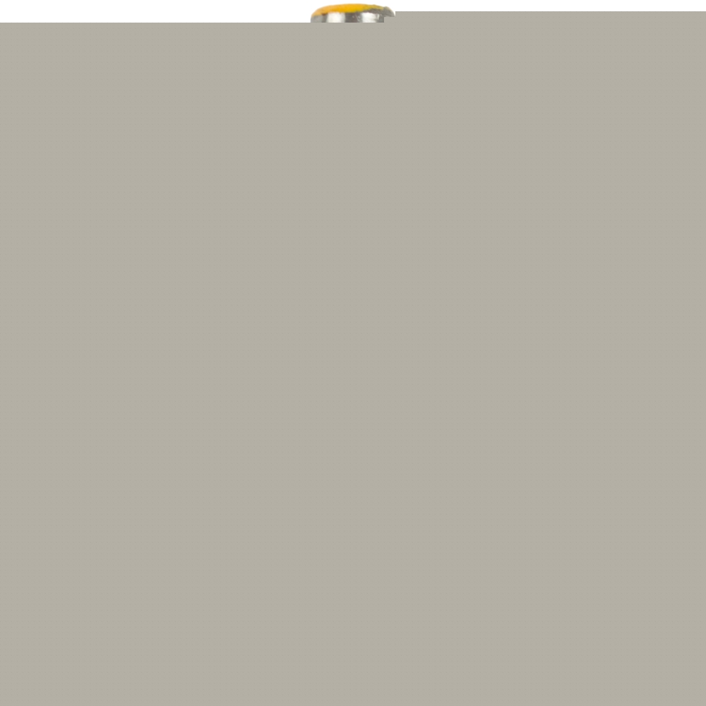 Image unavailable