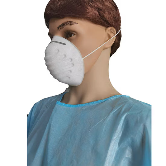 Nuisance Dust Mask - 2PCS