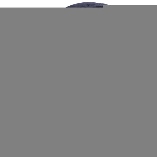 Image unavailable