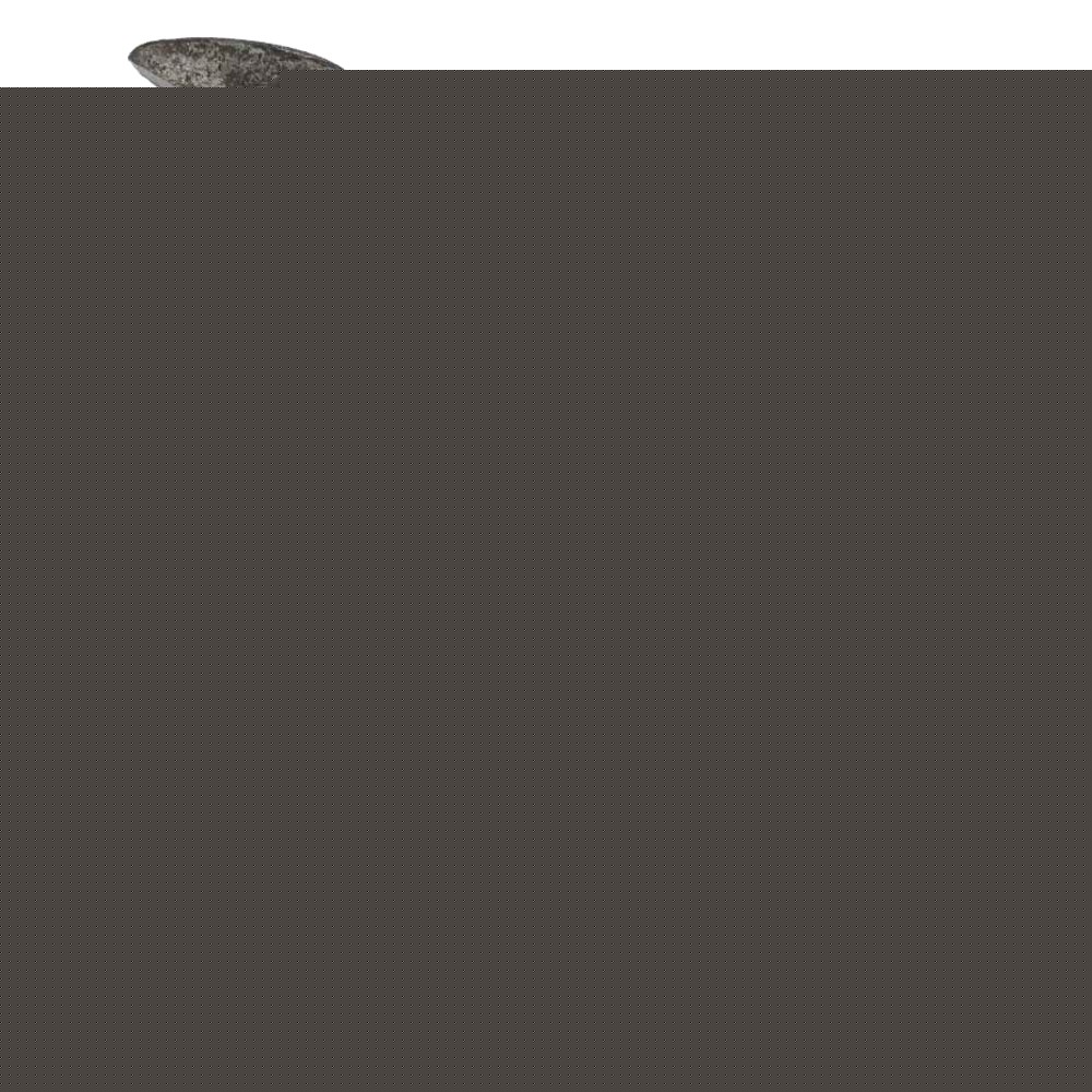 Image unavailable