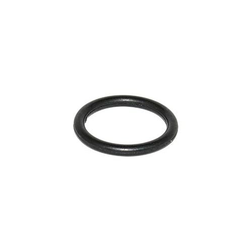O-RING FOR H2000 SPRAY GUN